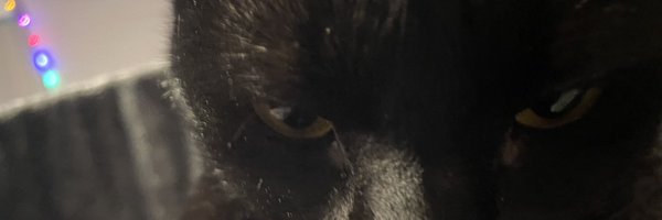 bigbitchyy Profile Banner