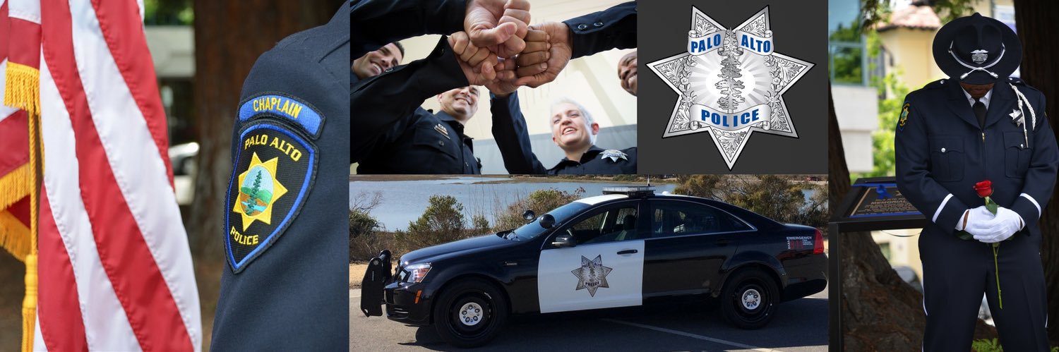 zpPAPD's profile banner image