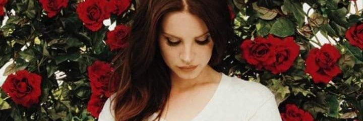 ciinGNR's profile banner image