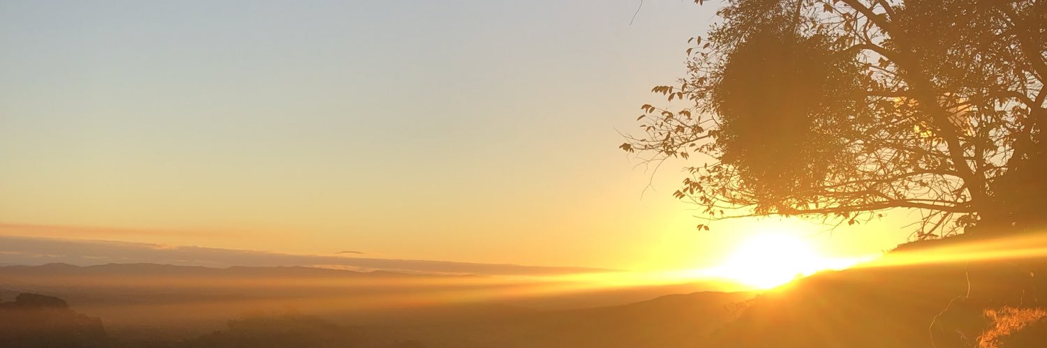 pedro_rmarques's profile banner image