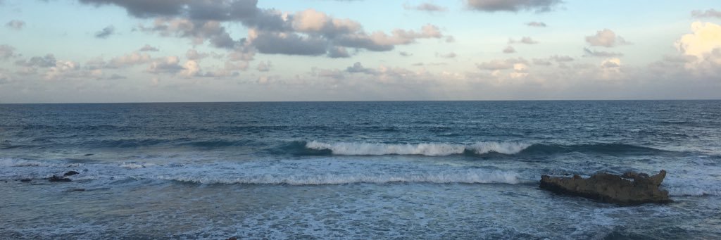 Lucia Mancuso banner