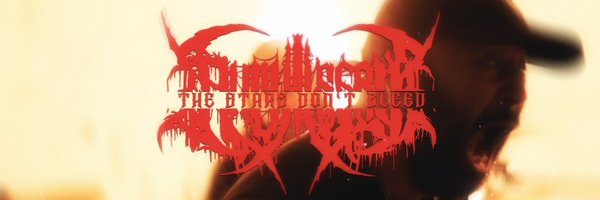 AllMiseryMetal Profile Banner