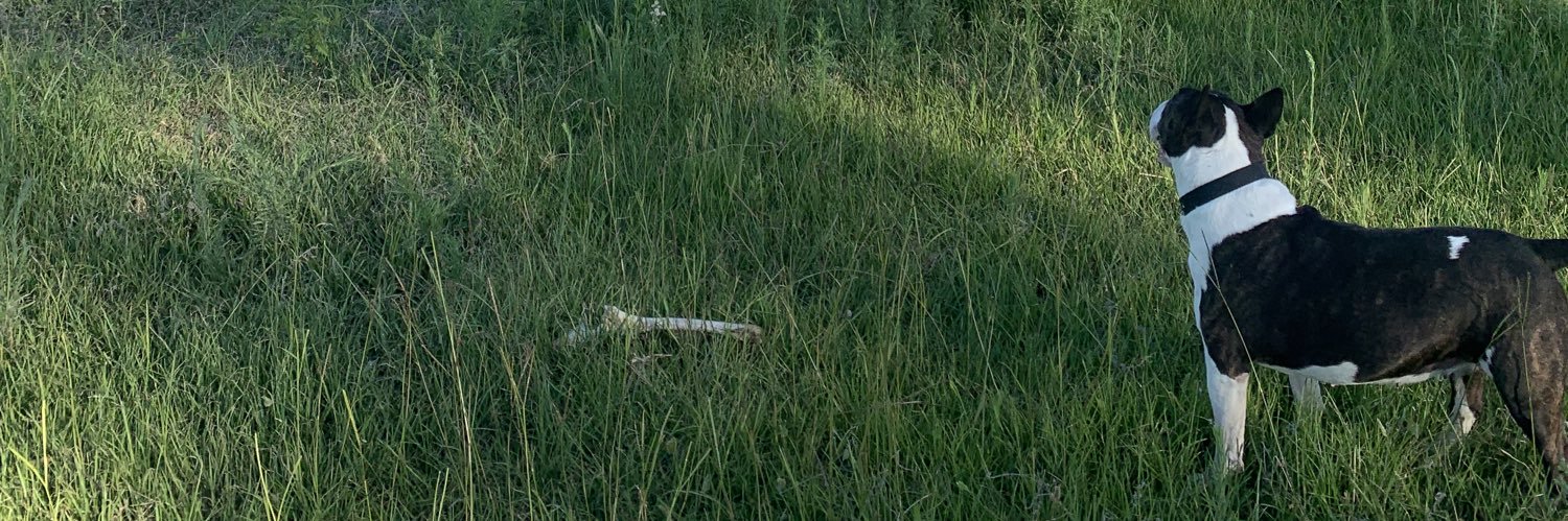 adelamasd's profile banner image