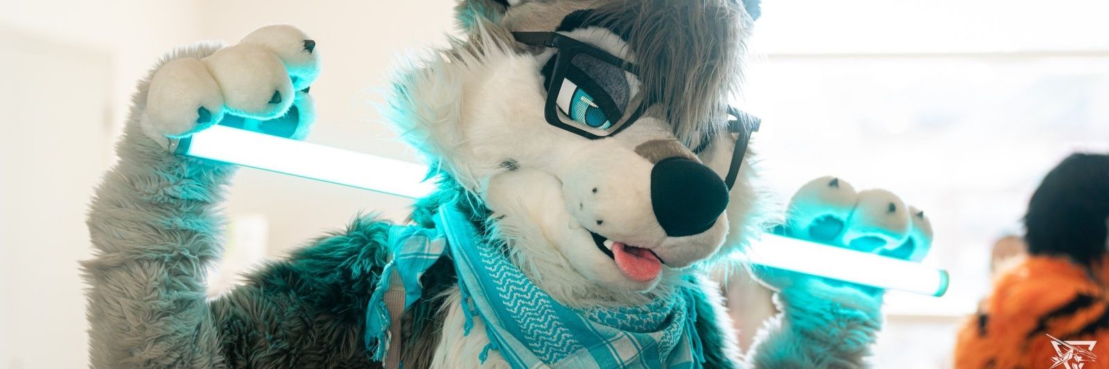 ColeWuff 🐺 🔜 AC's banner