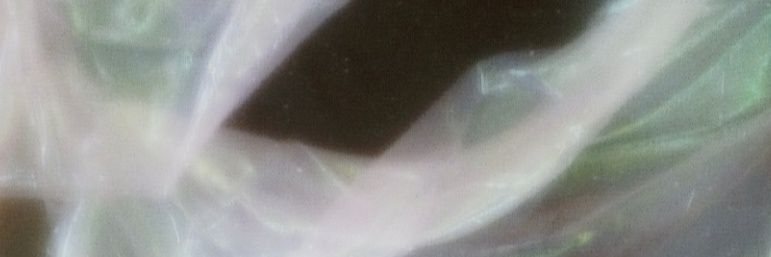 Arianna Cranz banner