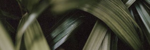 aaleeejaandraa's profile banner image