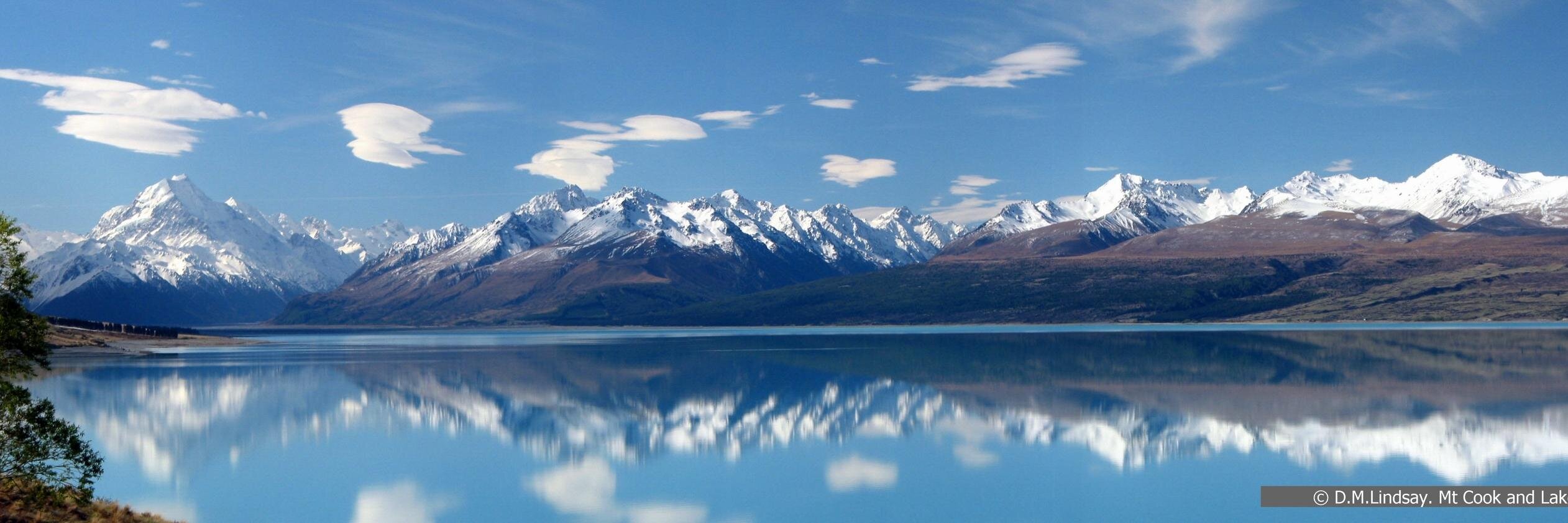 Alex Hryniewicz banner