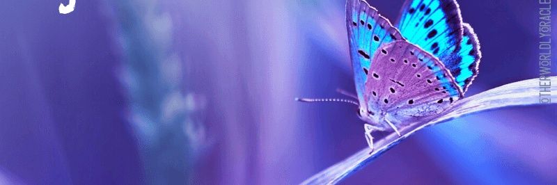 BlvntMode's profile banner image