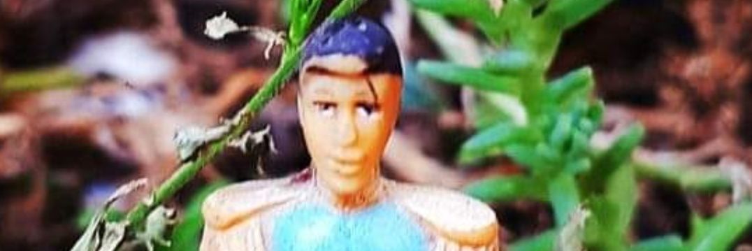 Just Look At The Flowers 🌼🌼 banner