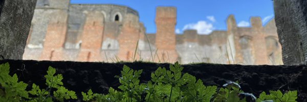 treyka Profile Banner