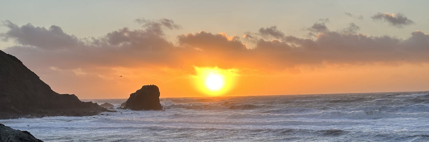 Christine Creed banner