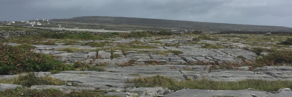AidanGotta's profile banner image