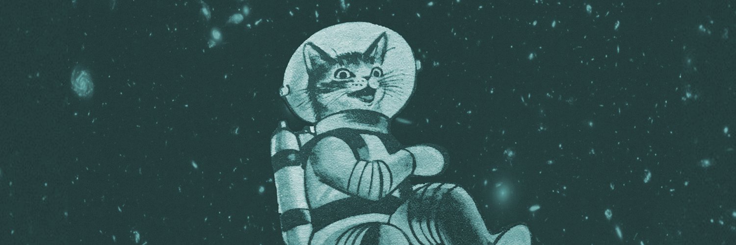 Robert Saint John banner