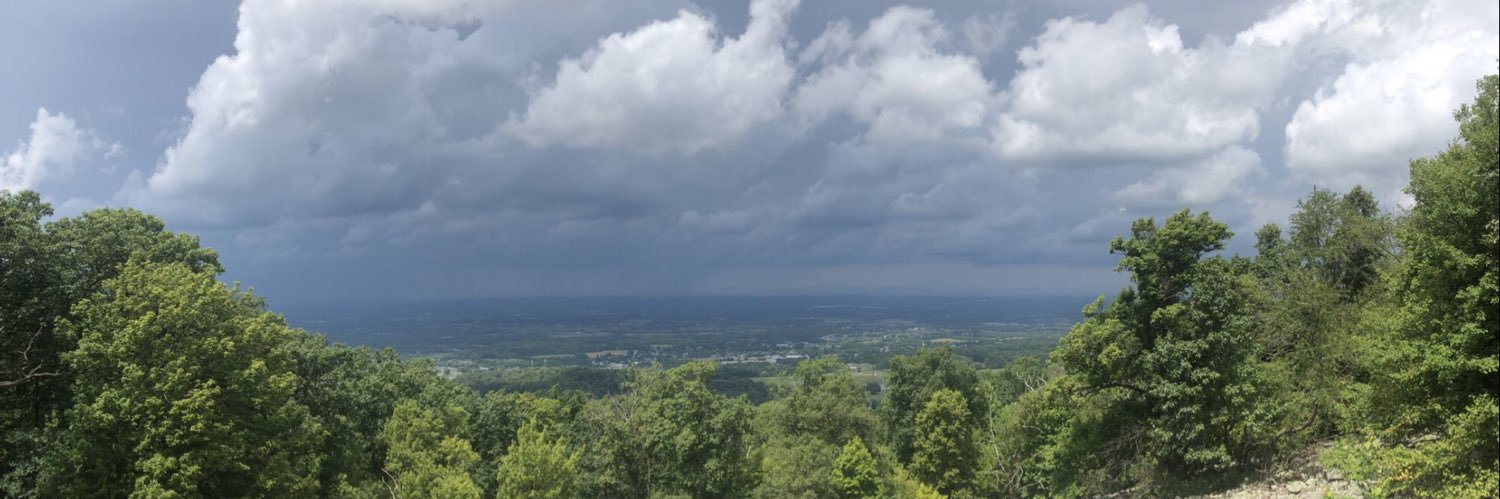 Curt McCormick banner