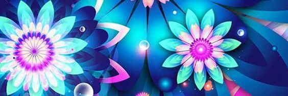 clarice_willis's profile banner image