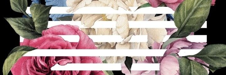 chexxcassiopeia's profile banner image