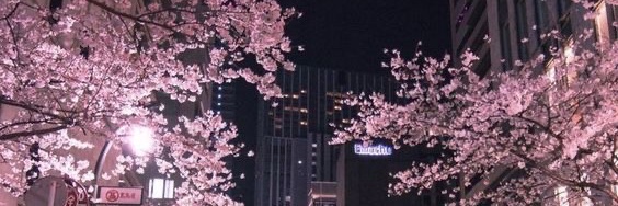 lilacmoonlightl's profile banner image