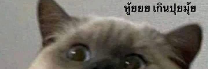 a. banner