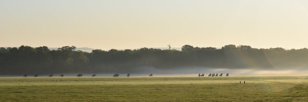 TDonworthRacing Profile Banner