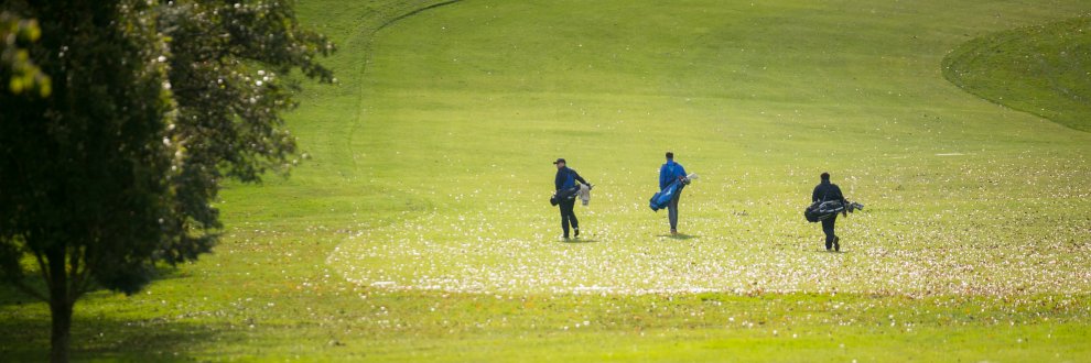 BRSGolf's profile banner image