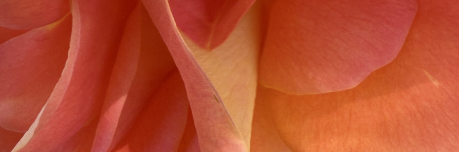 Michael Dawson banner