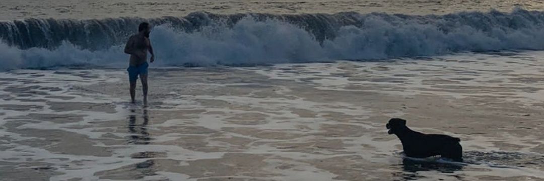 Dr. Martín Barrios-Fernández MD, MSc 👁 banner