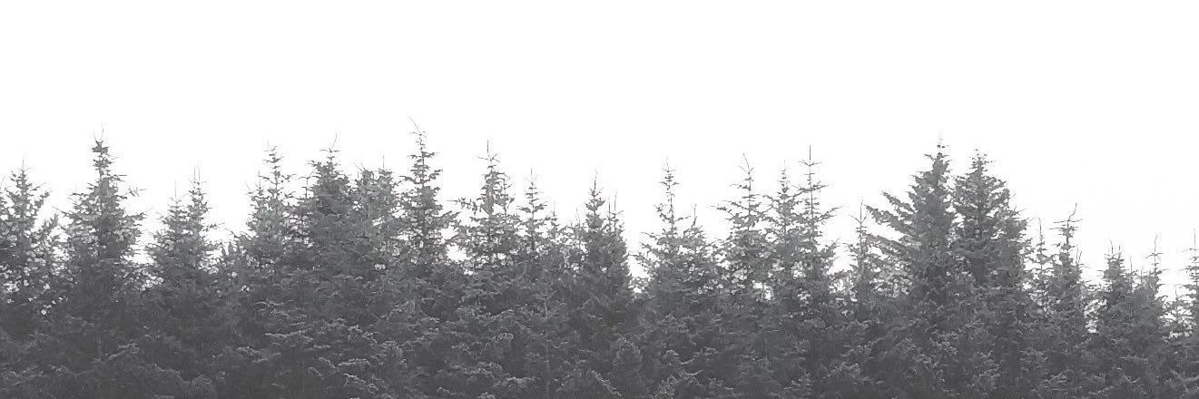 Hunter banner