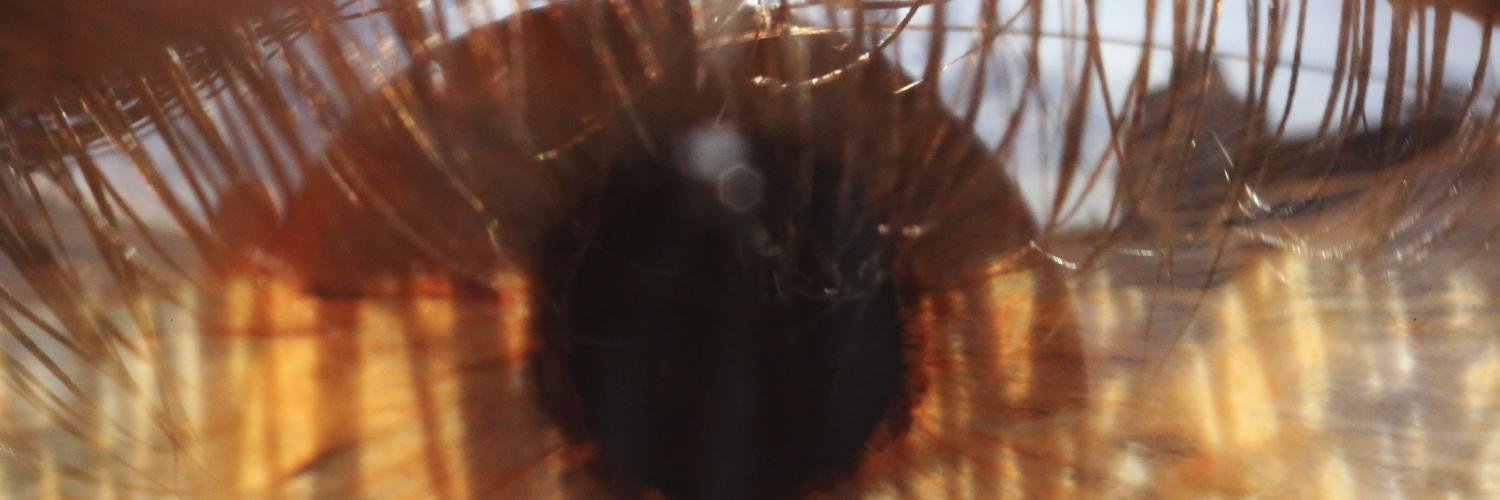 thomasleveritt's profile banner image