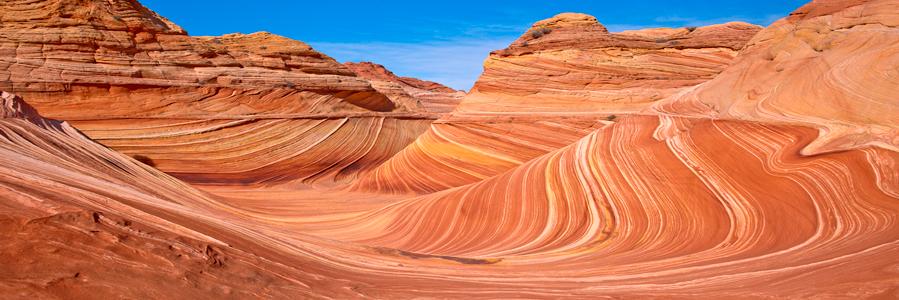 Utah Ultimate banner