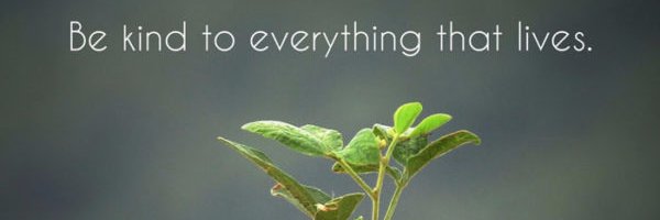 DRASIF_HUSSAIN's profile banner image