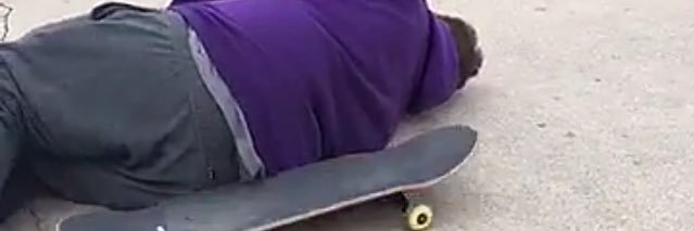 Perry (not the platypus) banner