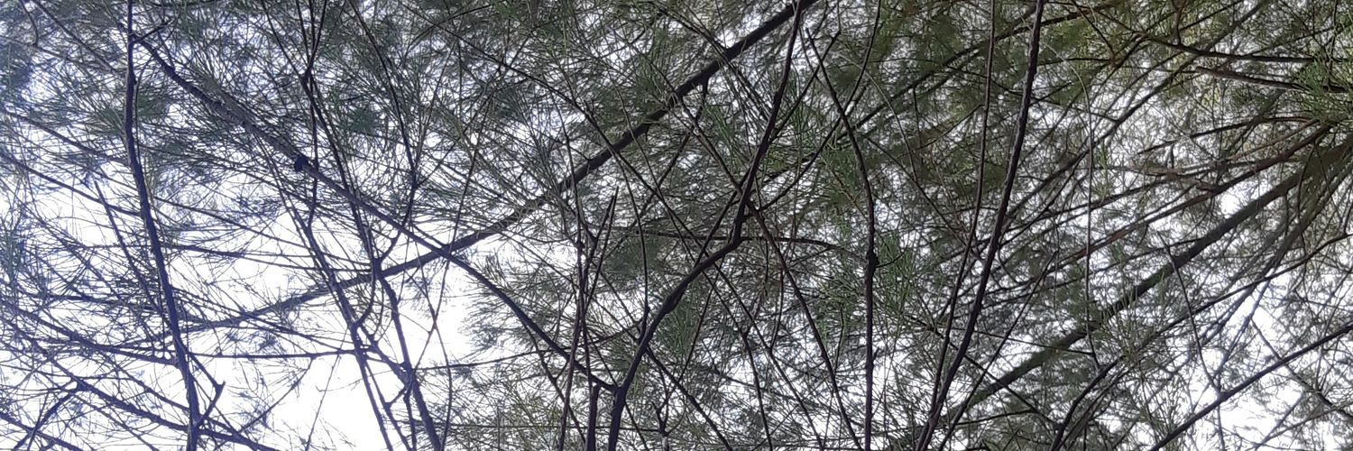 AbdullahAji's profile banner image
