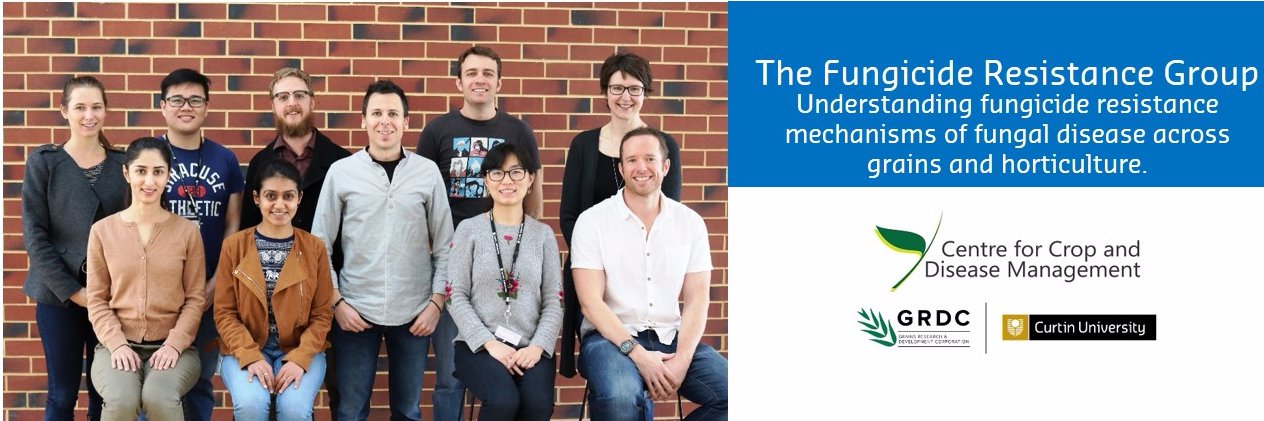 FRGcurtin's profile banner image