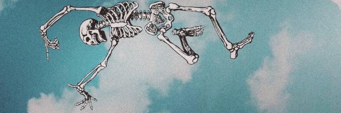 elwesii's profile banner image