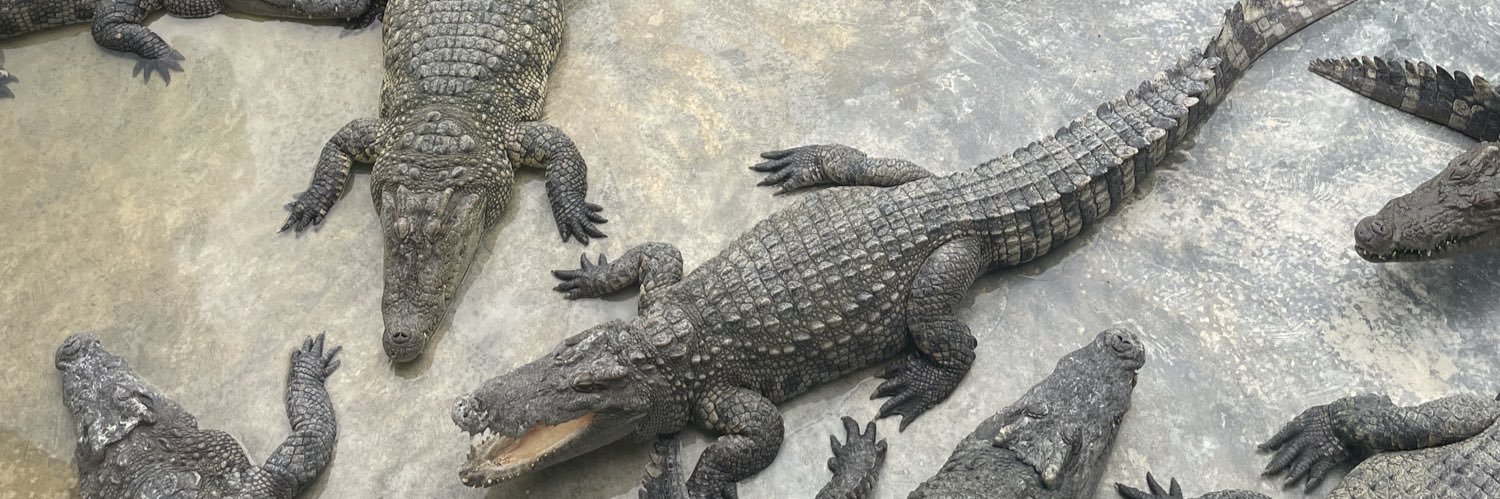 ไม่เคยสักที banner