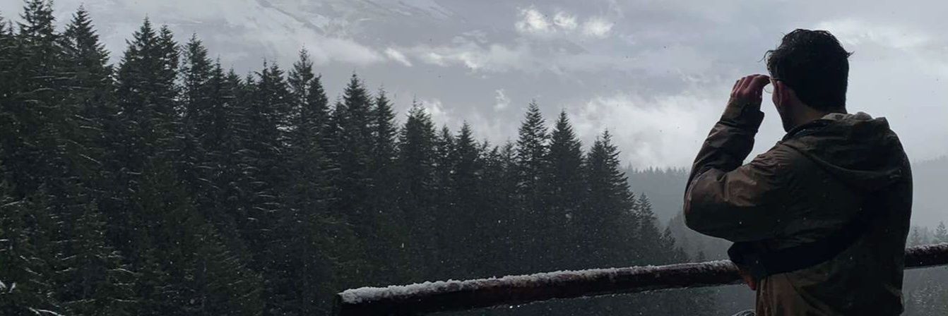 dancella13's profile banner image