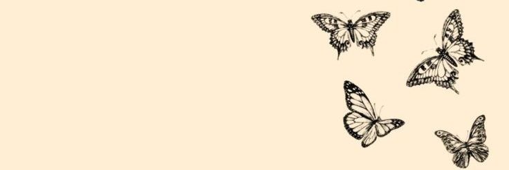 alllponce's profile banner image