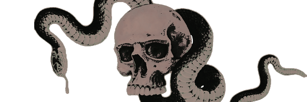 LENGUAMENTIROSA Profile Banner