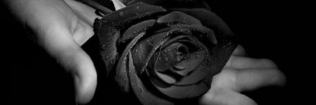 dr pakempyang banner