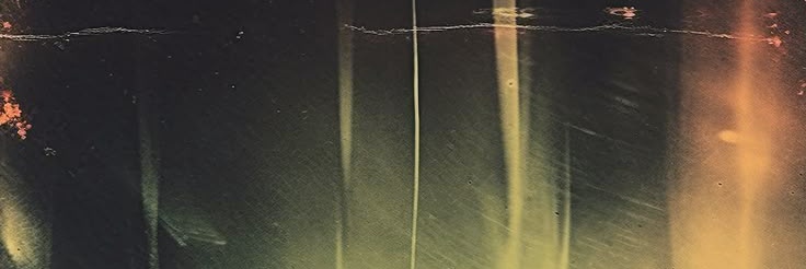 kamil / fever's banner