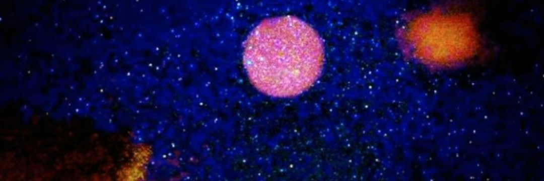 APC32898421's profile banner image