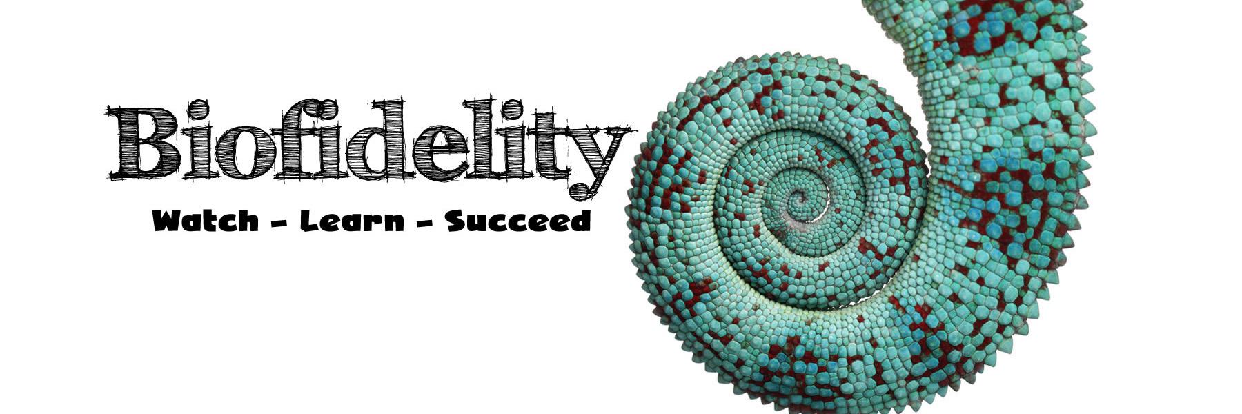 biofidelity's profile banner image