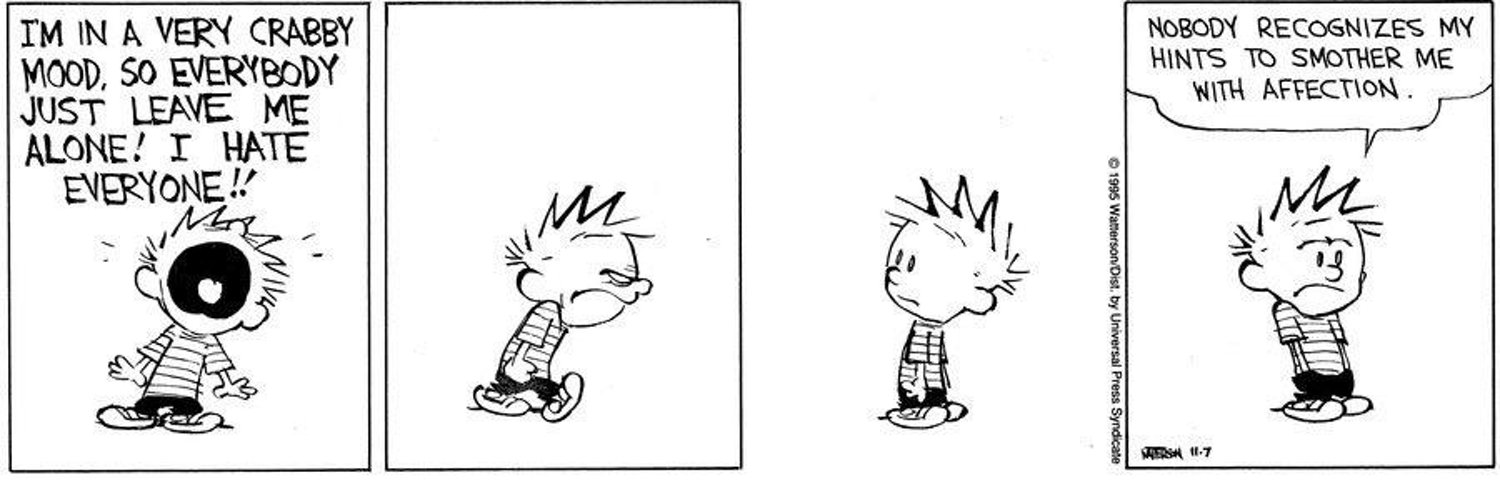 Rachel McCartney banner