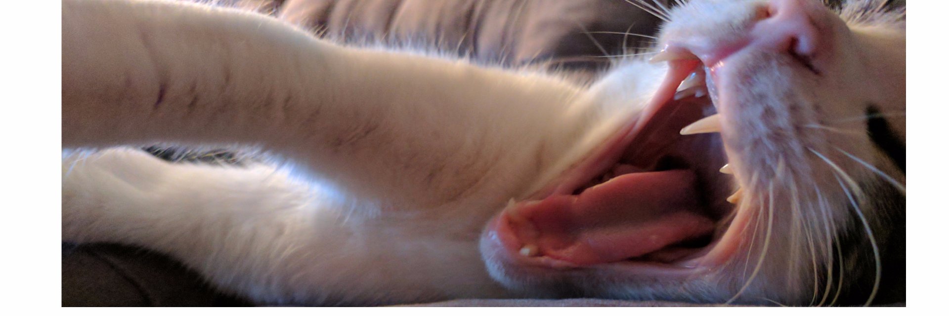 handy_michael's profile banner image