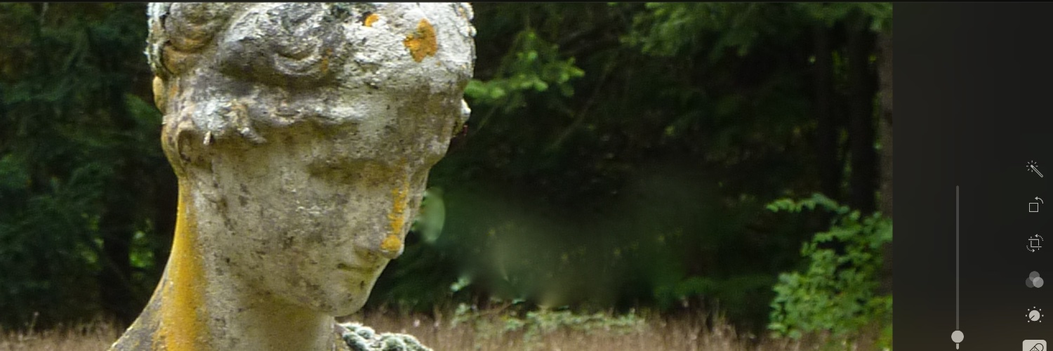 Maxmycat's profile banner image