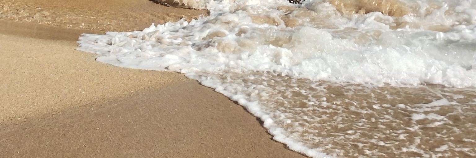 aAame_e's profile banner image
