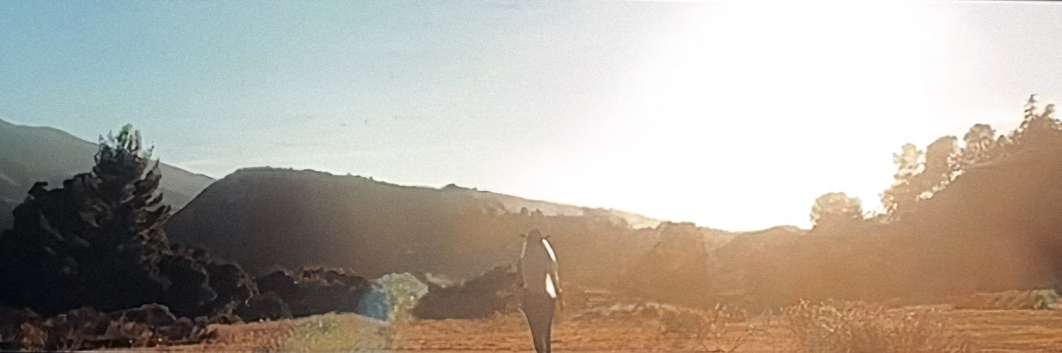 ✰'s banner