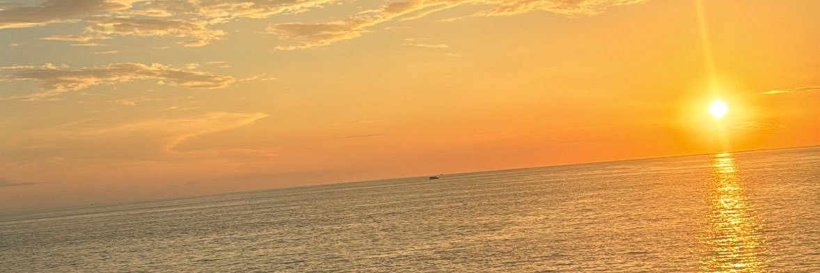 ale_carson's profile banner image