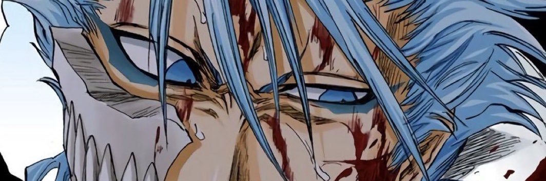 Grimmjow’s Hollow Hole's banner