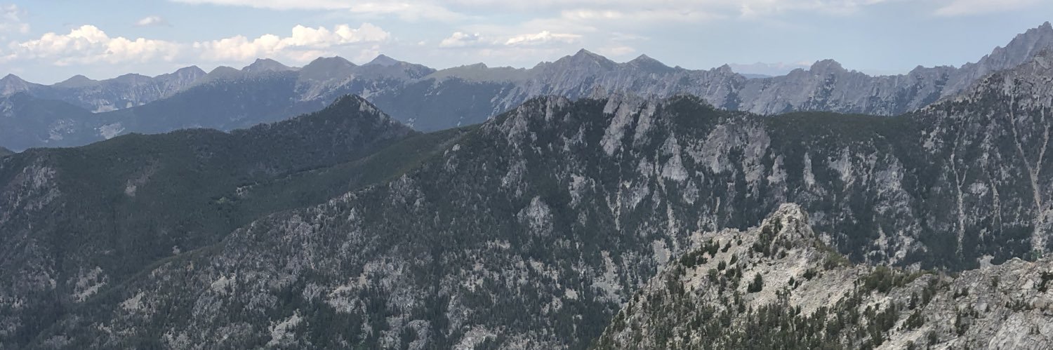 cubdavis's profile banner image